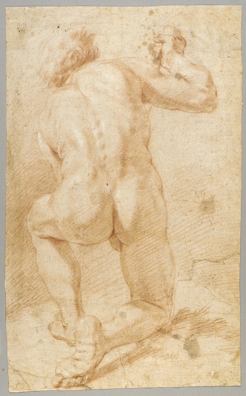 Rysunek autorstwa Paolo de Matteis