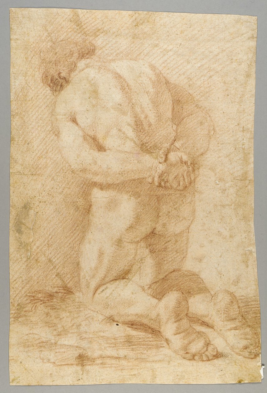 Rysunek autorstwa Paolo de Matteis
