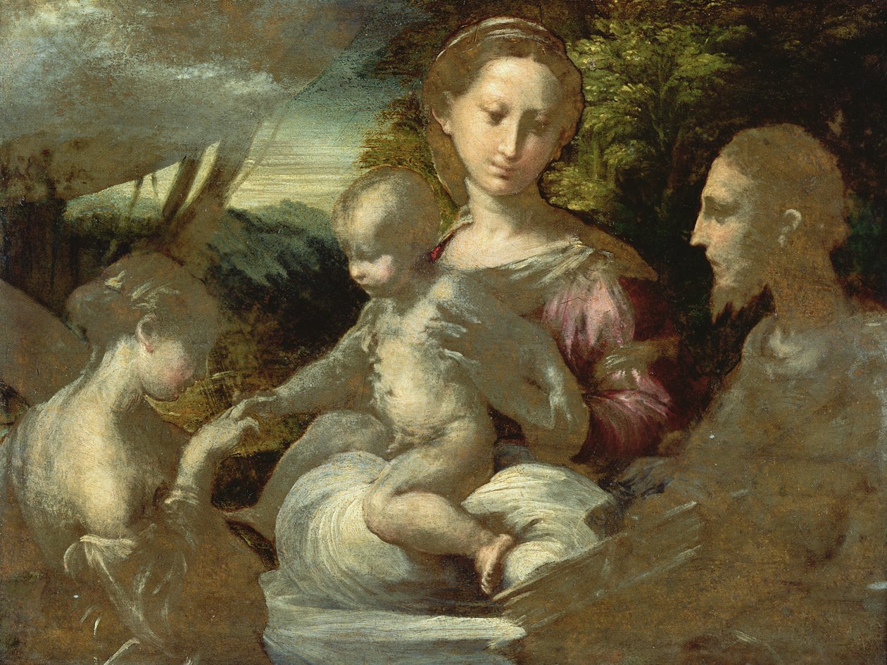 Studium dla mistycznego małżeństwa św Katarzyny, c.1527 autorstwa Parmigianino