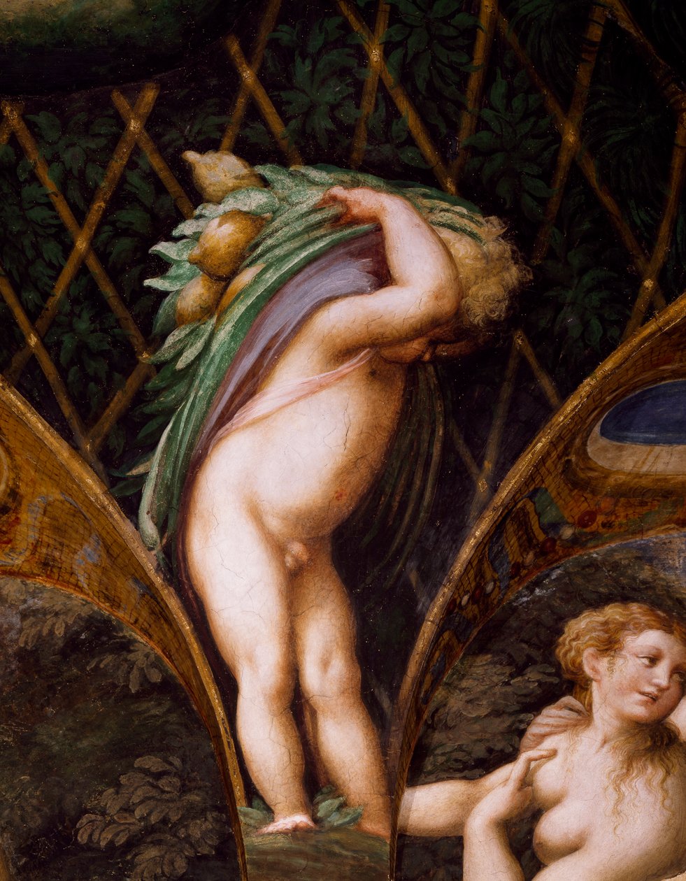 Putto, z mitu o Dianie i Actaeon autorstwa Parmigianino