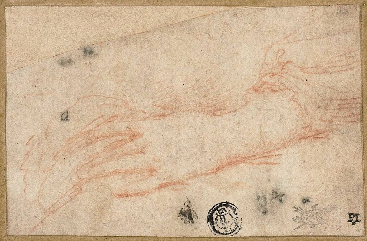 Szkic lewej ręki i nadgarstka autorstwa Parmigianino