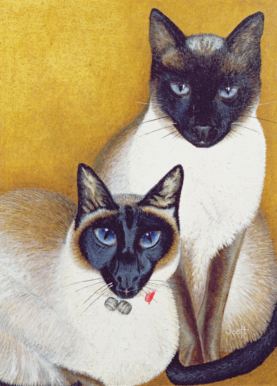 Mavis i Barnaby autorstwa Pat Scott