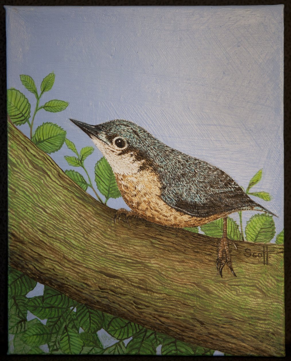 Kowalik, 2016 r. autorstwa Pat Scott