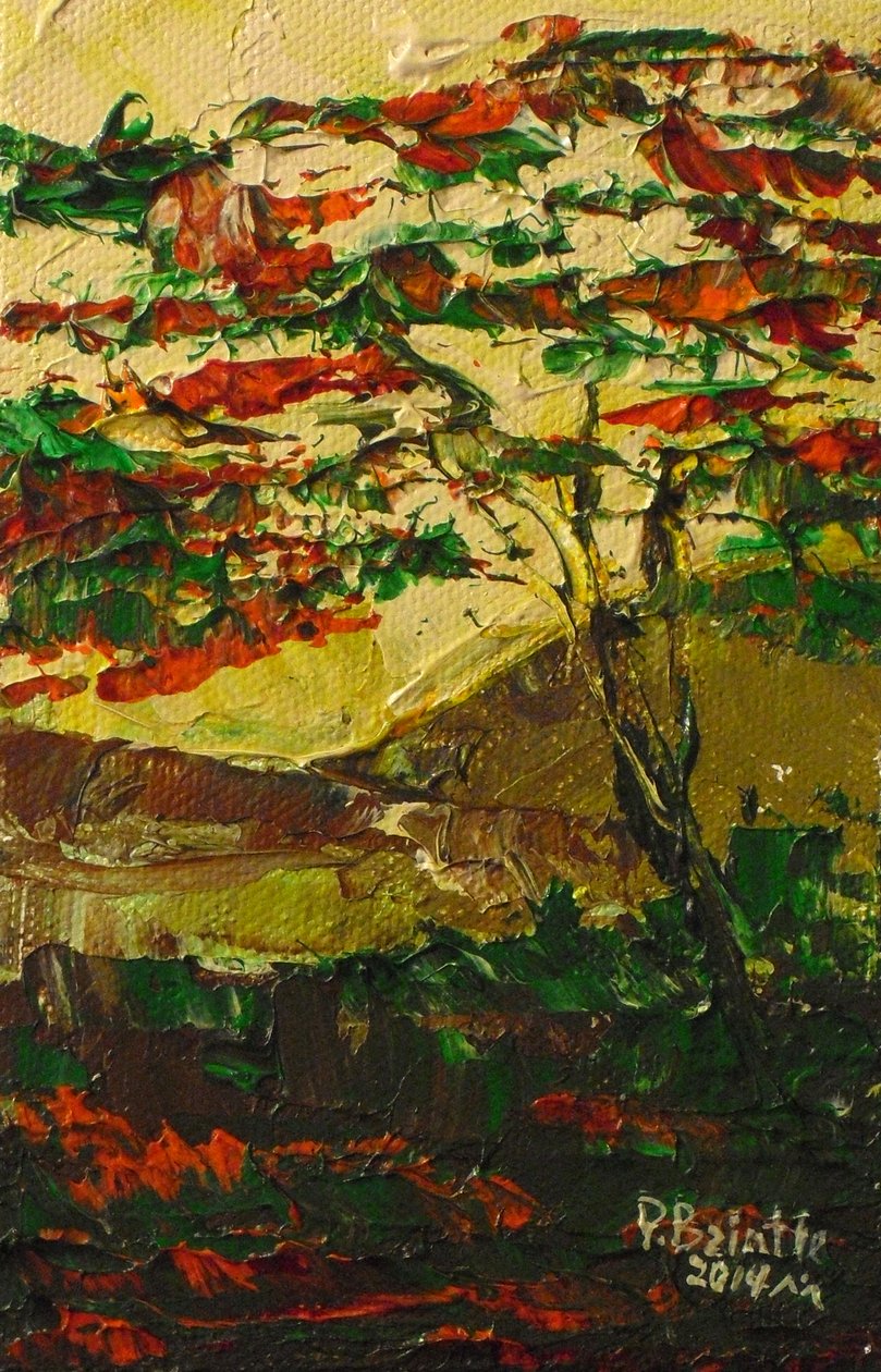 Flamboyant en fleur, 2014 (akryl na płótnie) autorstwa Patricia Brintle