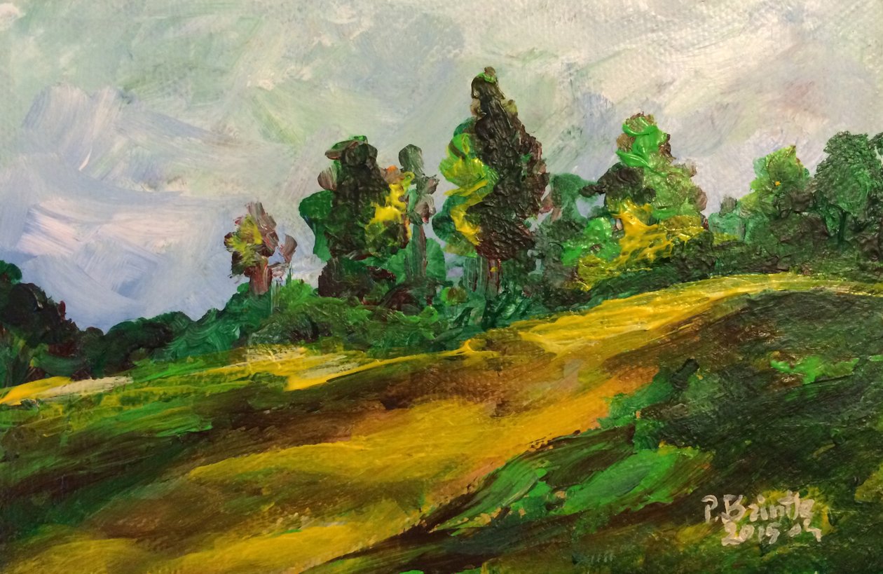 Furcy rano, 2015 (akryl na płótnie) autorstwa Patricia Brintle
