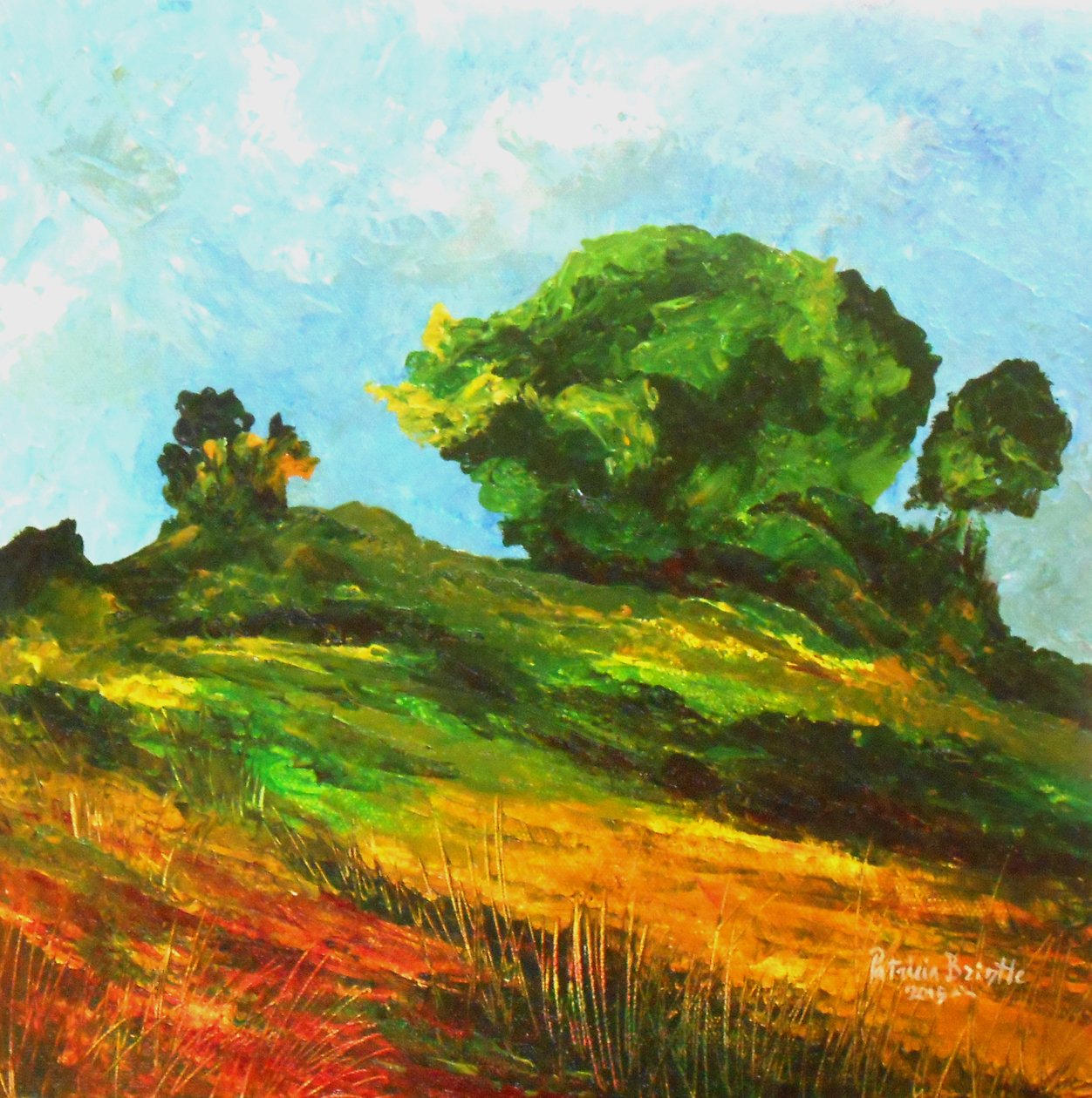 Droga do Mayette, 2015 (akryl na płótnie) autorstwa Patricia Brintle