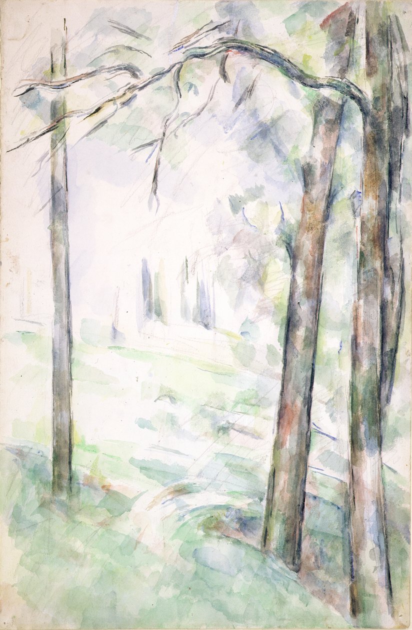 PD.6-1966r Lasy, Aix-en-Provence, ok. 1890 (wc i kreda) autorstwa Paul Cézanne