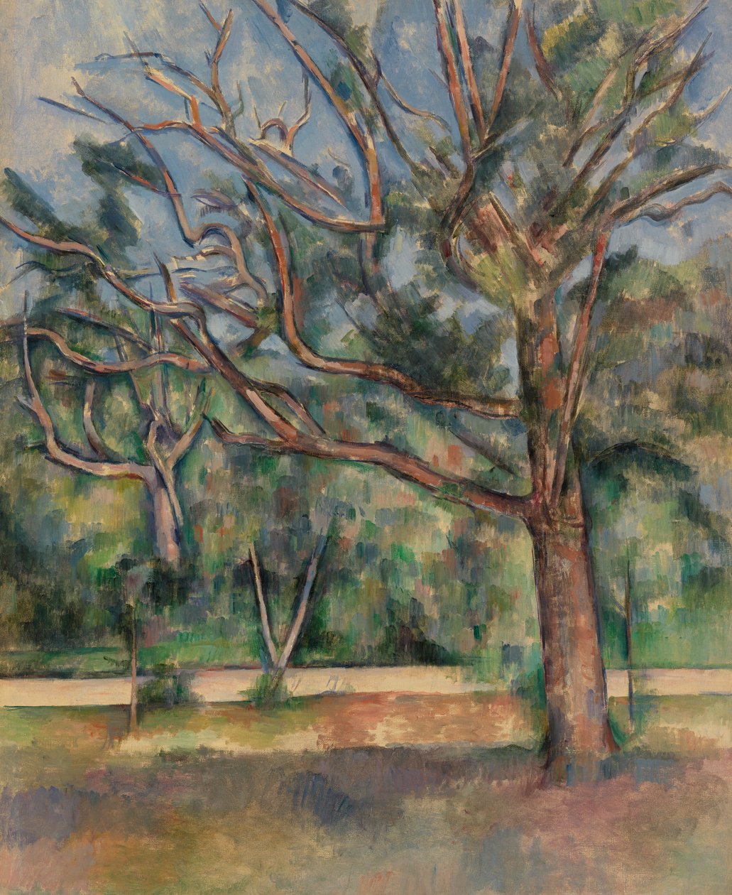 Drzewa i droga, c.1890 autorstwa Paul Cézanne