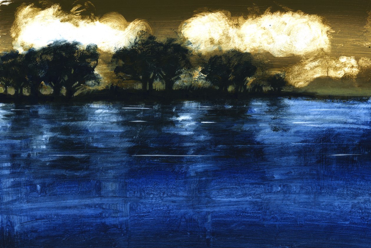 Flood, 2009 (akryl na pokładzie) autorstwa Paul Powis