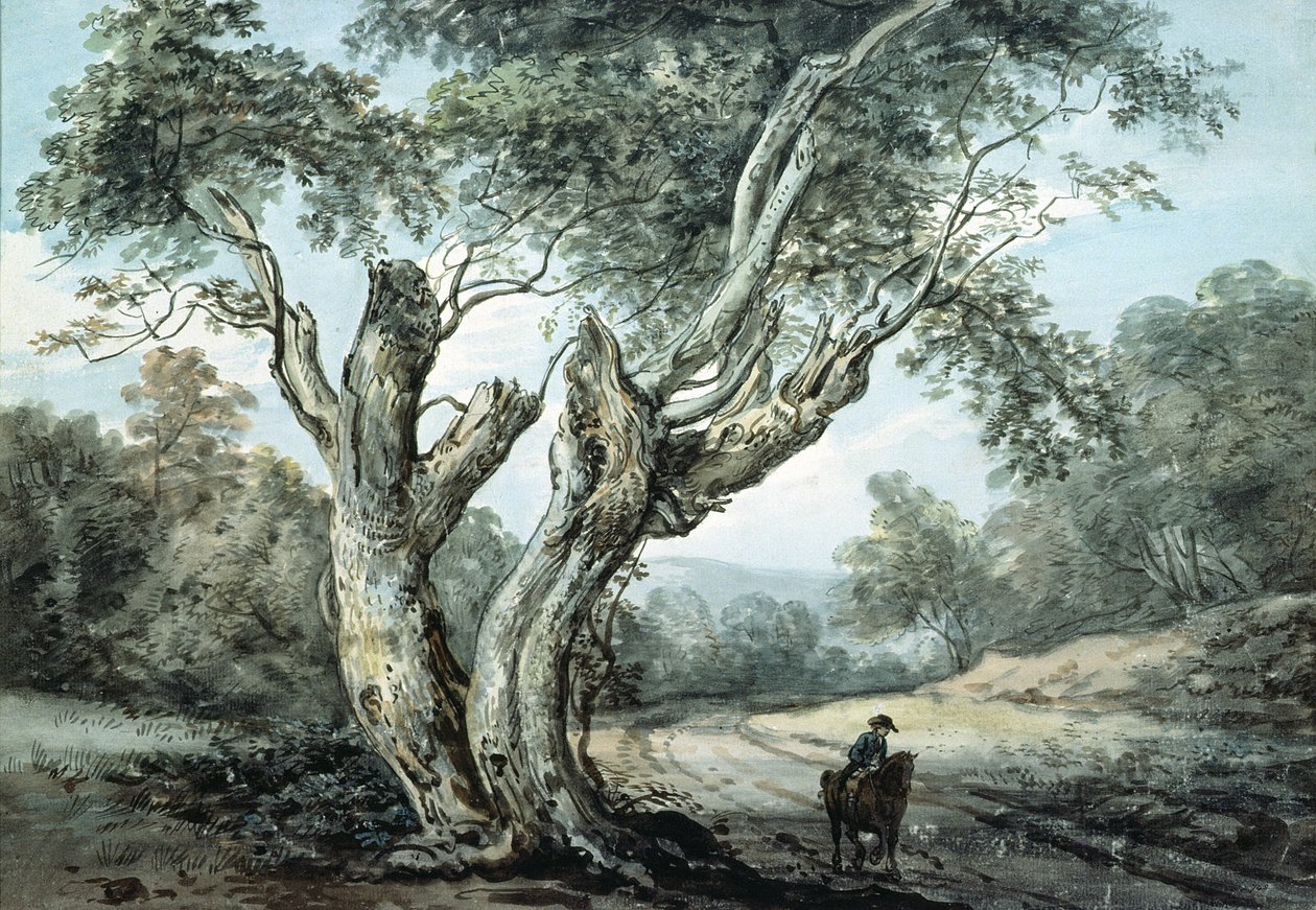 Droga przez las Windsor (akwarela) autorstwa Paul Sandby