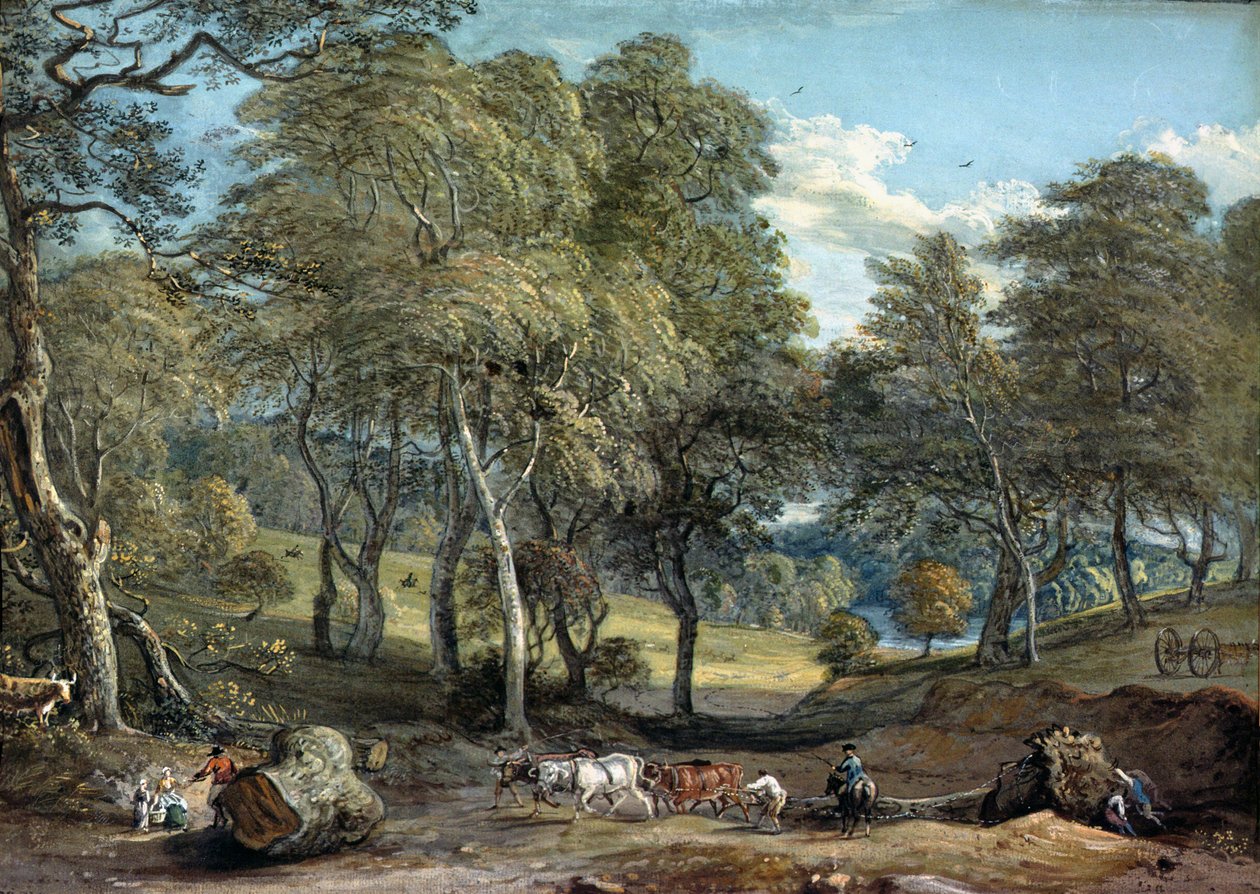 Las Windsor z drewnem do rysowania wołów, 1798 autorstwa Paul Sandby