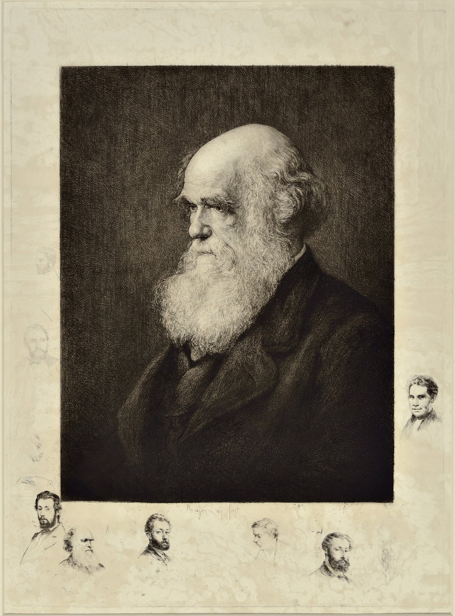 Charles Robert Darwin autorstwa Paul Adolphe Rajon