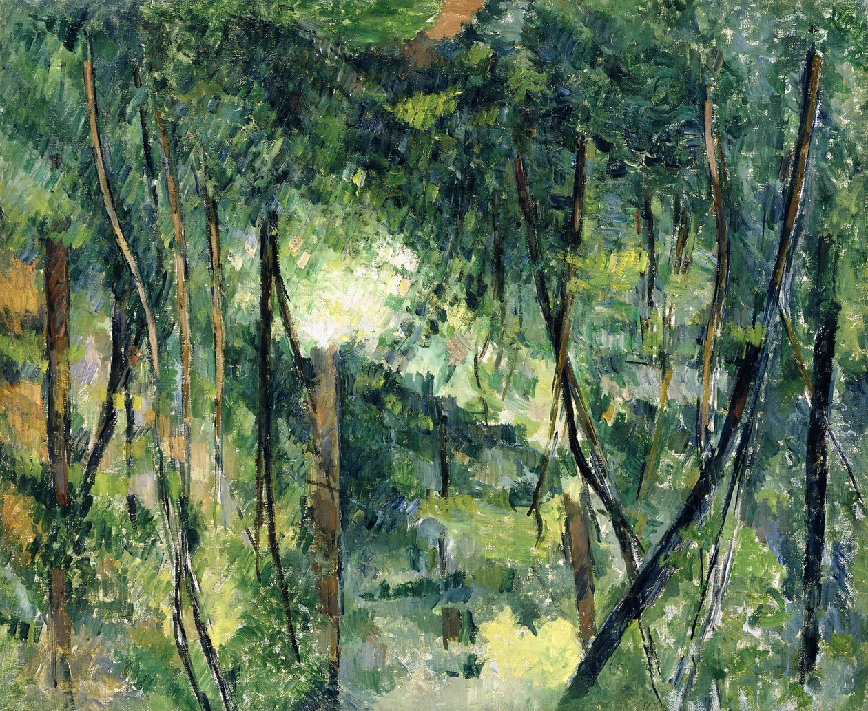 Zarośla, ok.1885 autorstwa Paul Cézanne