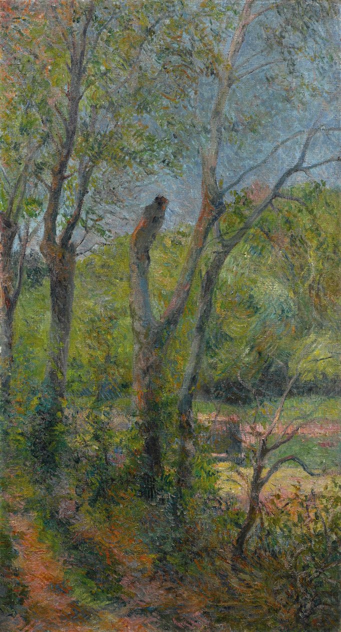 Francuski:  Les Saules Willows autorstwa Paul Gauguin
