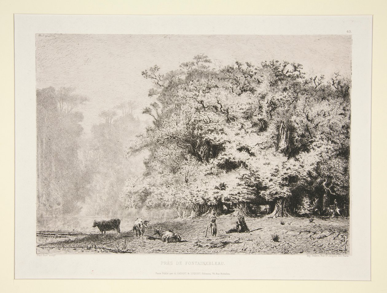 Lasy w pobliżu Fontainebleau autorstwa Paul Huet