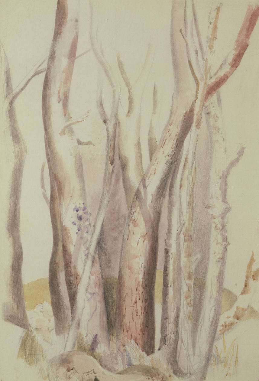 Studium leśnego krajobrazu autorstwa Paul Nash