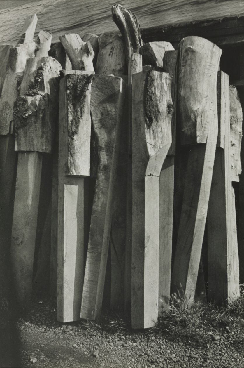 Totemy, Stara Stocznia, Żyto autorstwa Paul Nash