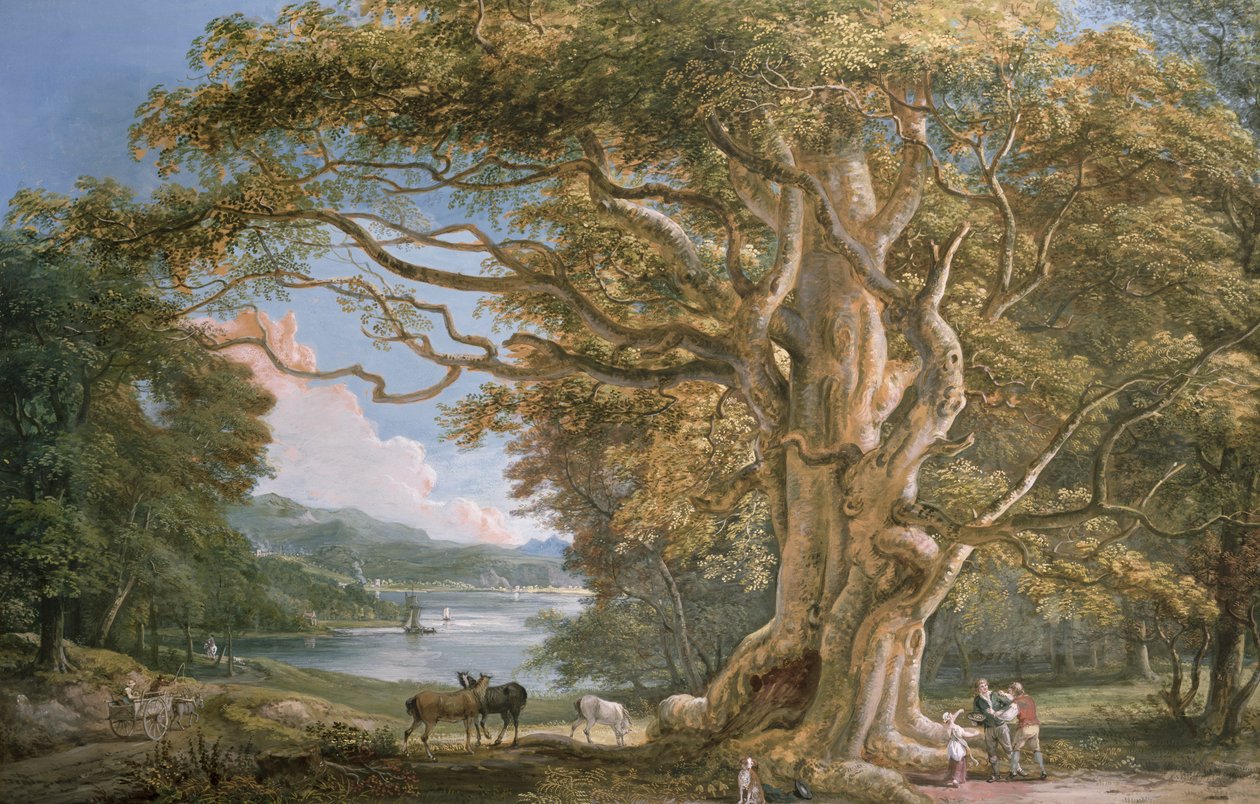 Starożytne drzewo bukowe autorstwa Paul Sandby