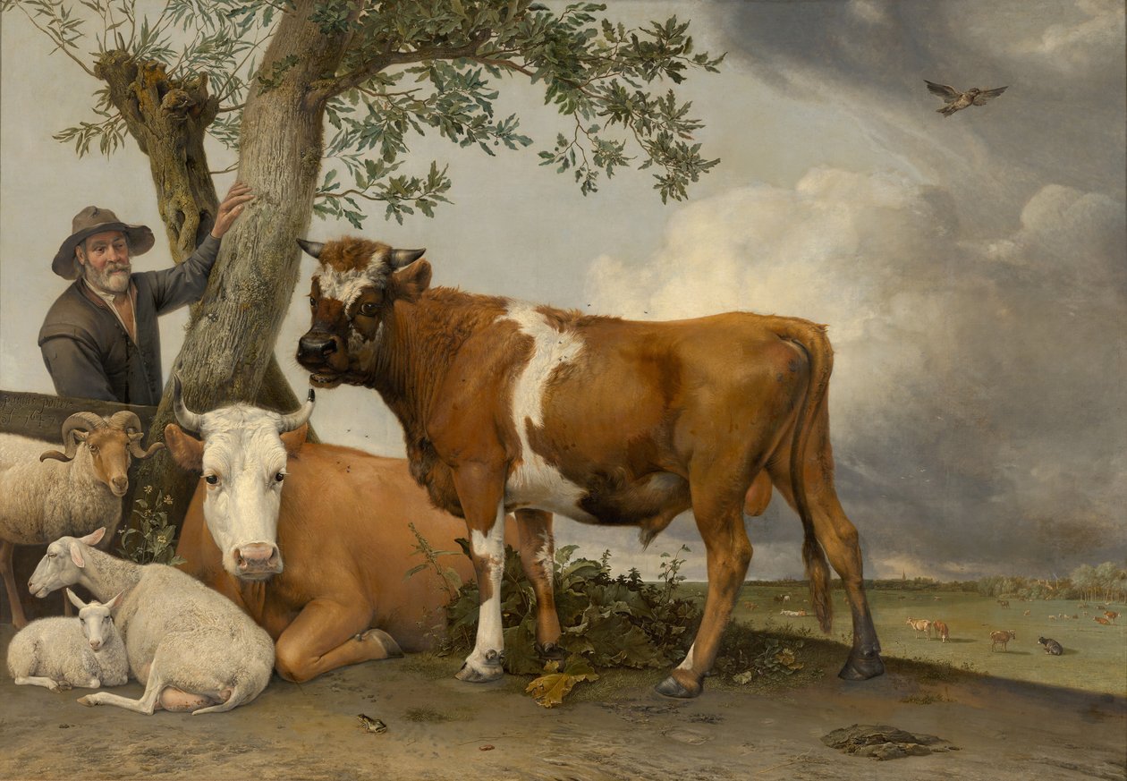 Byk, 1647 autorstwa Paulus Potter