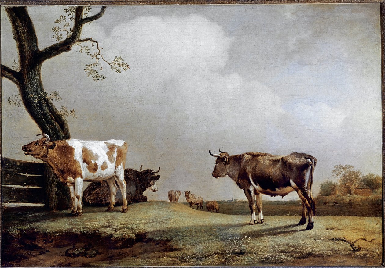Łąka. (olej na płótnie) autorstwa Paulus Potter
