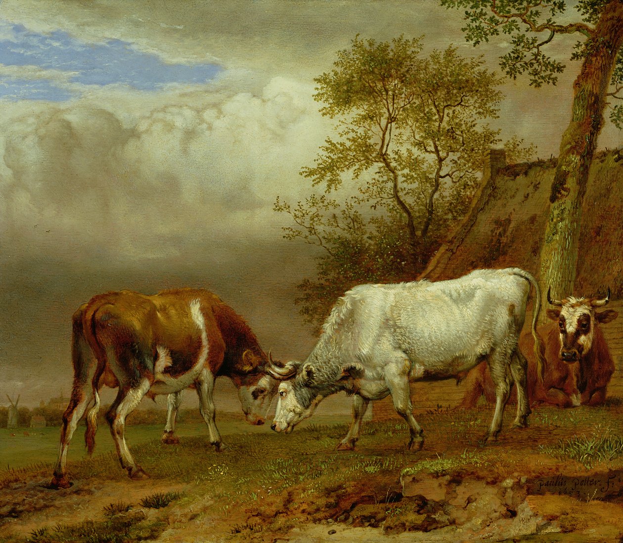 Dwa byki z zablokowanymi rogami, 1653 autorstwa Paulus Potter