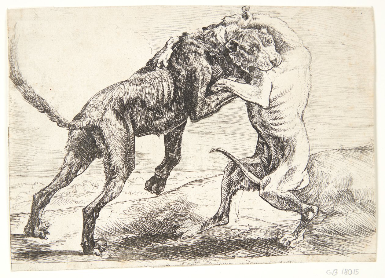 Walka dwóch psów autorstwa Paulus van Hillegaert (II)