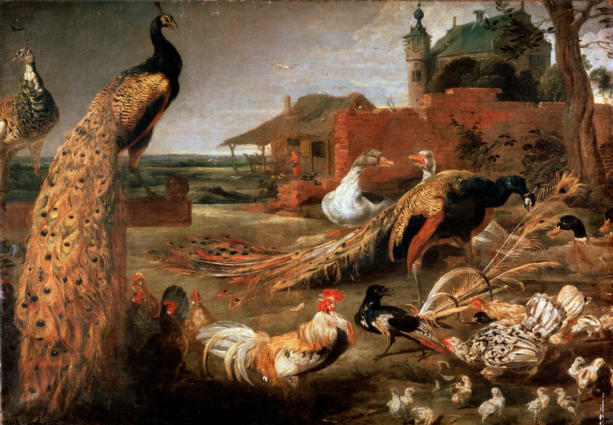 „Wrona u ojców pawia”, c1615-1690 autorstwa Pauwel de Vos