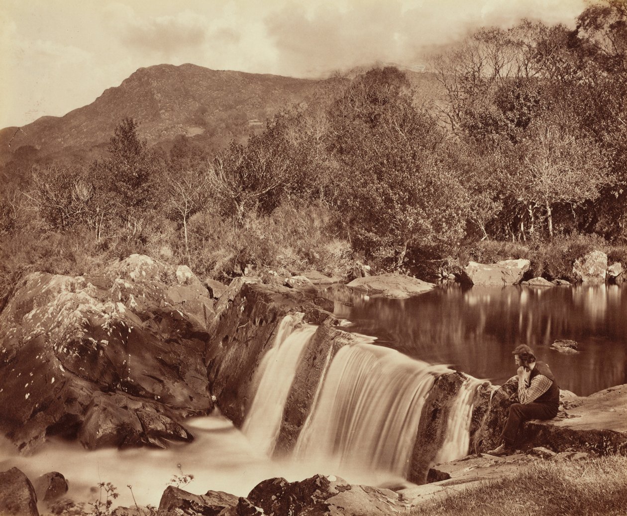 Wodospad, hrabstwo Wicklow, ok. 1870 (zdjęcie) autorstwa Payne Jennings