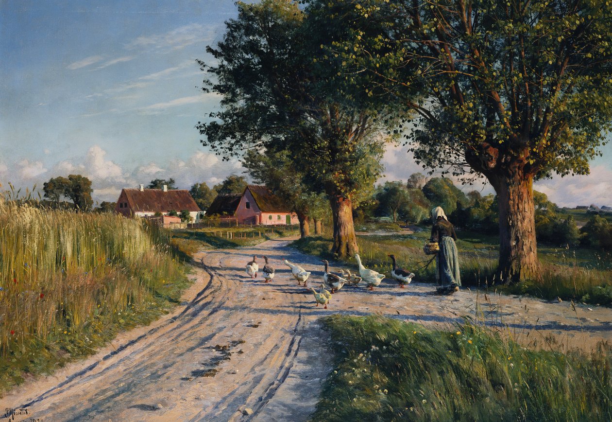 Droga do domu autorstwa Peder Monsted