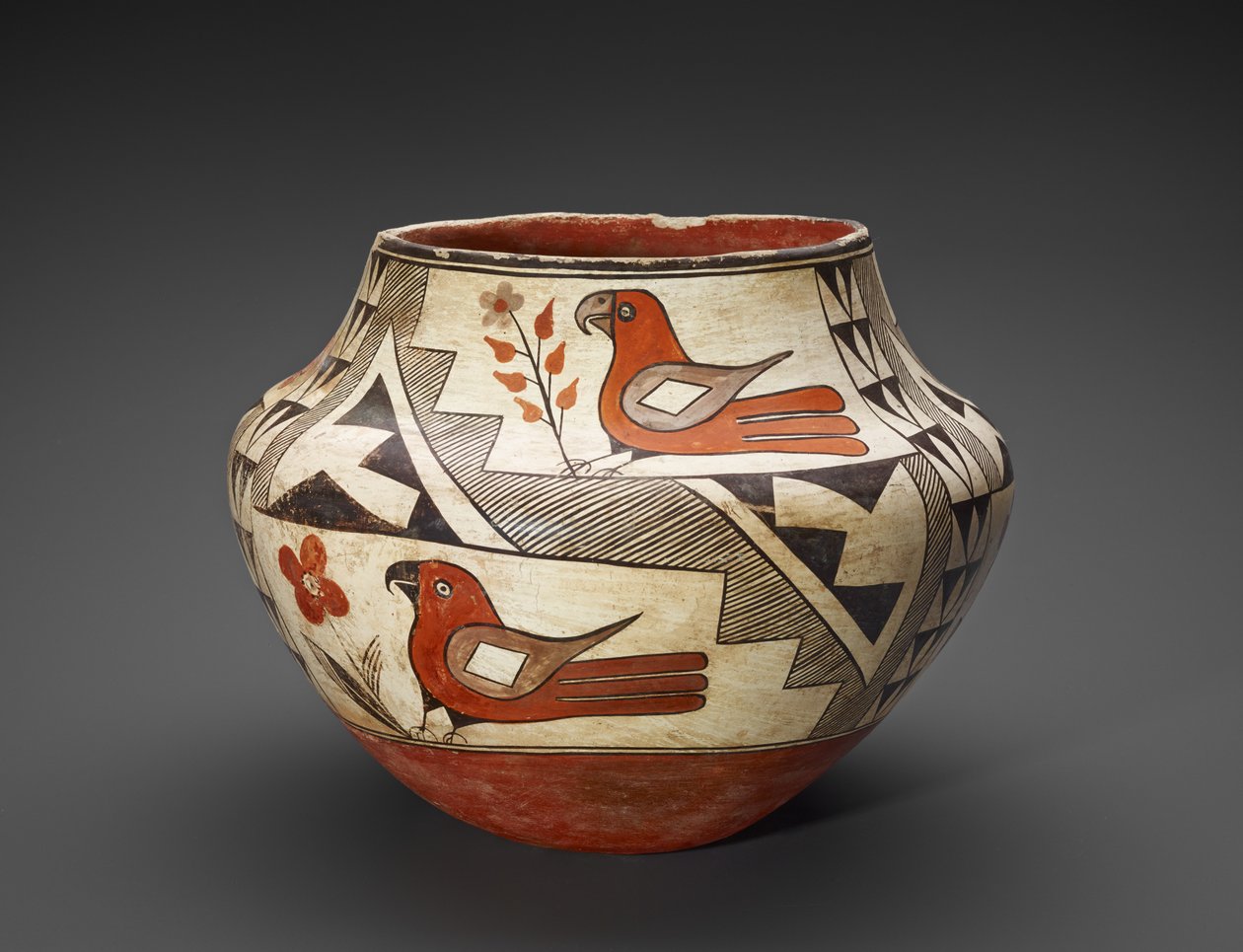 Słoik (Olla) z papugami autorstwa People Acoma