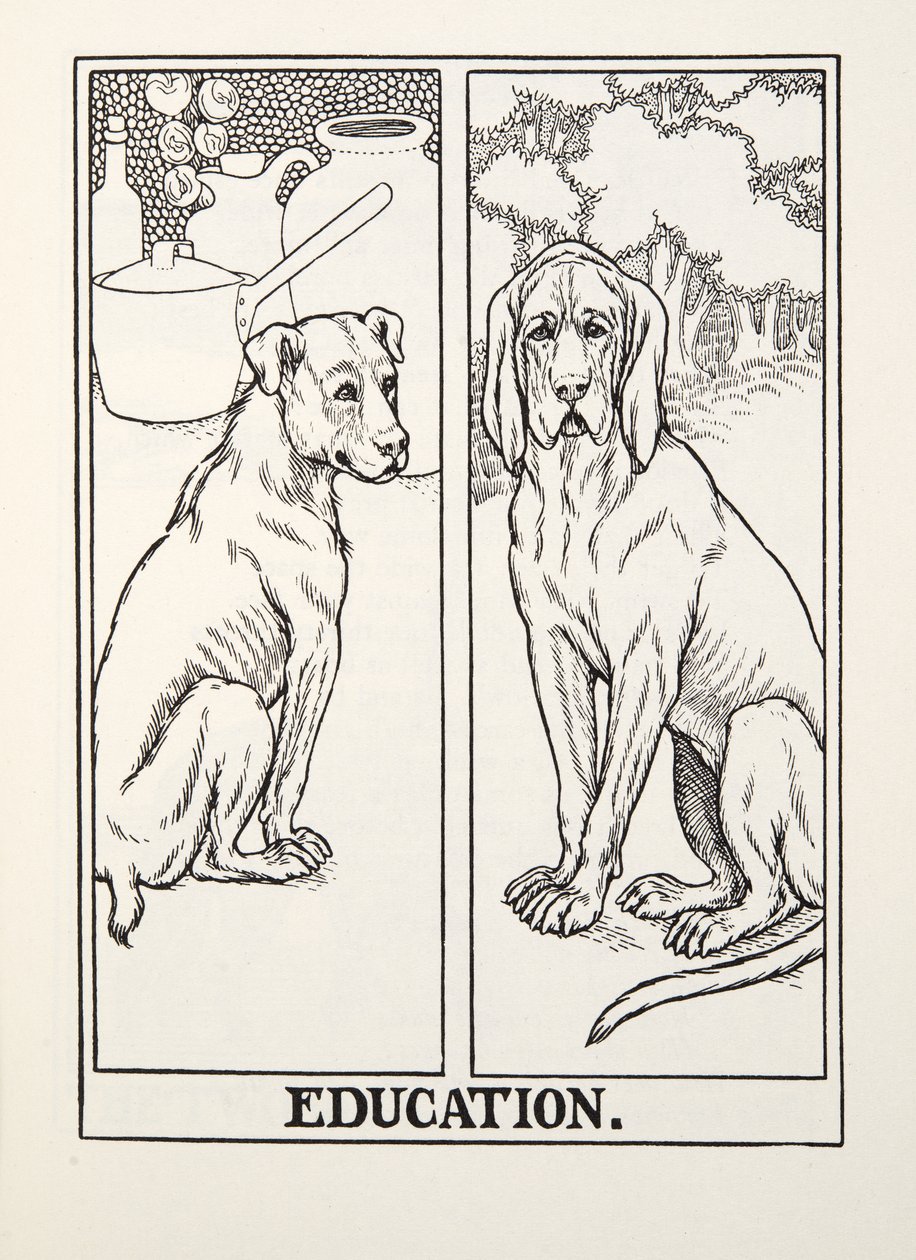 Edukacja, z Fontaine Fables, wyd. 1905 autorstwa Percy J. Billingshurst