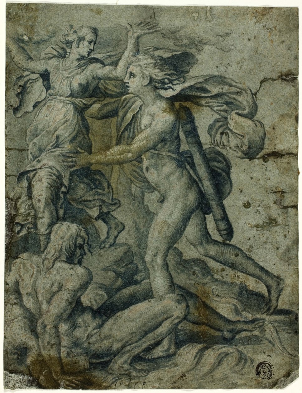 Apollo i Daphne autorstwa Perino del Vaga