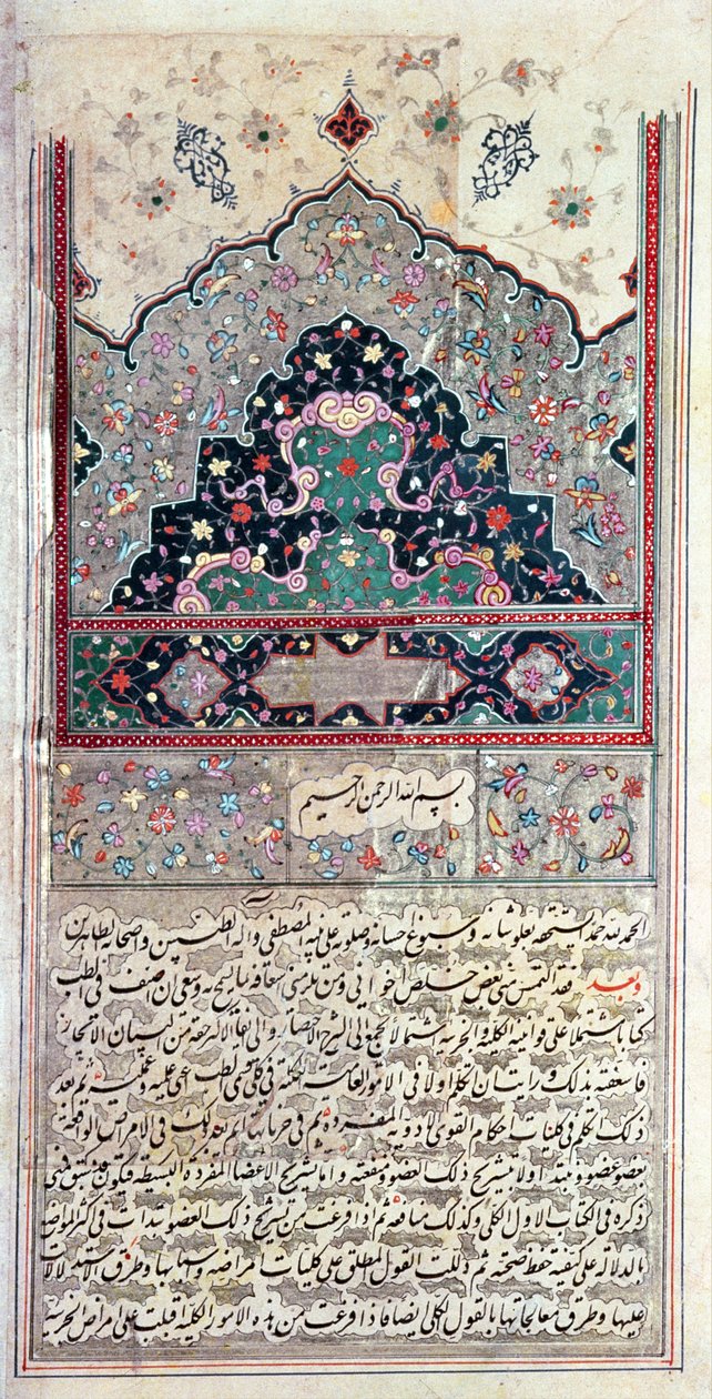 Strona z Kanonu Medycyny Awicenny (Ibn Sina) 1632 autorstwa Persian School