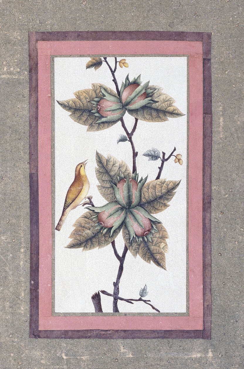Studium ptaków i kwiatów, ok.1780 autorstwa Persian School