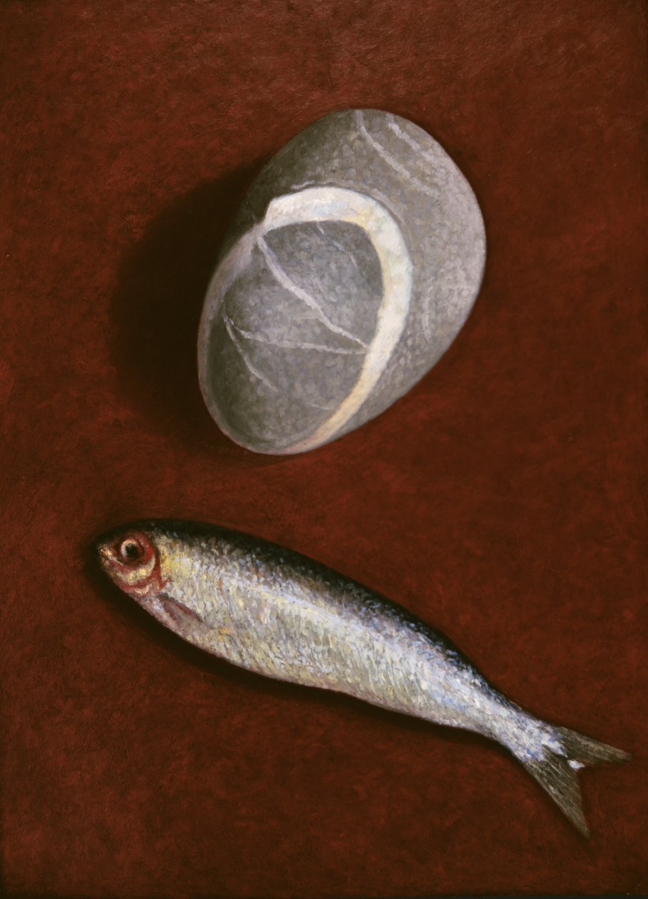 Ryba i forma skalna, 1997 autorstwa Peter Davidson