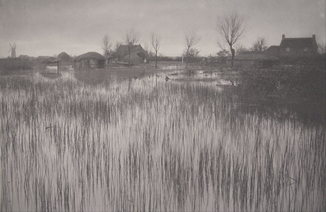 Rushy Shore, płyta XXXV z Life and Landscape on the Norfolk Broads autorstwa Peter Henry Emerson