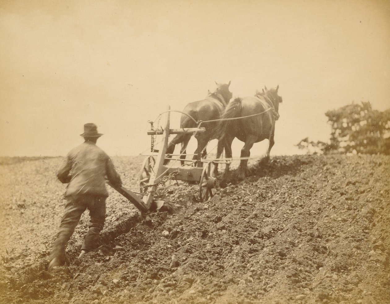 Sztywne pociągnięcie autorstwa Peter Henry Emerson