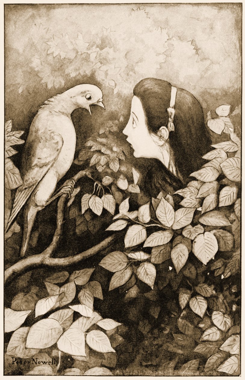 „Wąż!”, krzyczał Gołąb, ilustracja do „Alicji w Krainie Czarów” Lewisa Carrolla, 1901 autorstwa Peter Newell