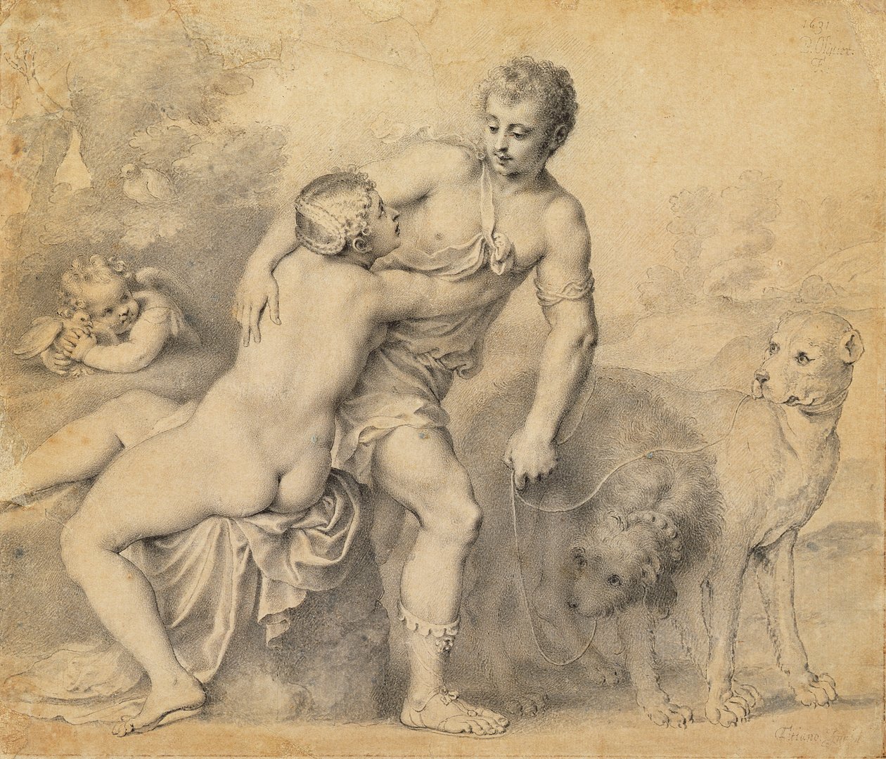 Wenus i Adonis, 1631 (pióro i atrament z praniem na papierze) autorstwa Peter Oliver
