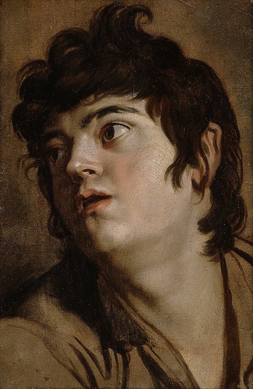Głowa młodego mężczyzny autorstwa Peter Paul Rubens