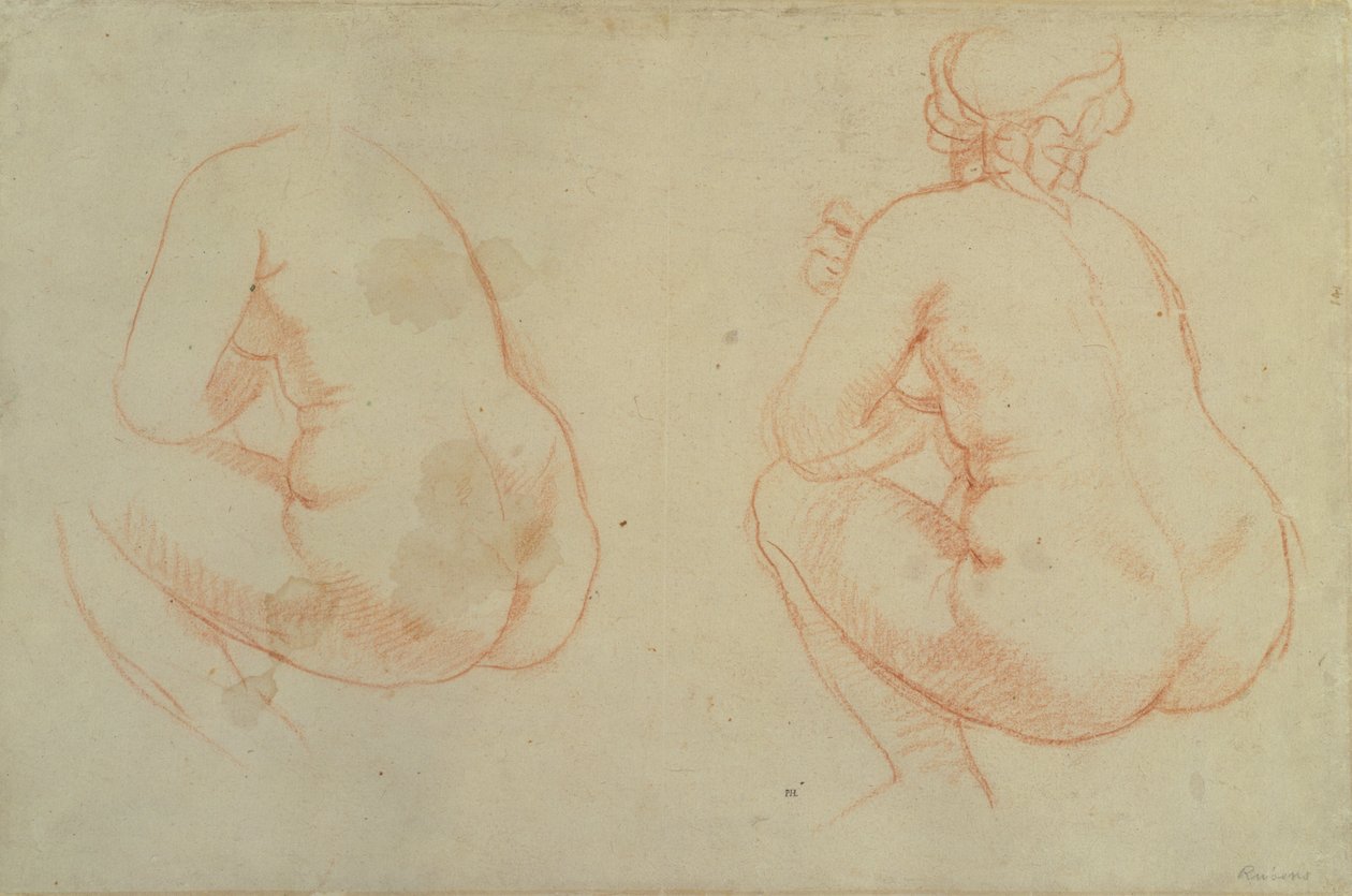 Studia aktów kobiecych autorstwa Peter Paul Rubens
