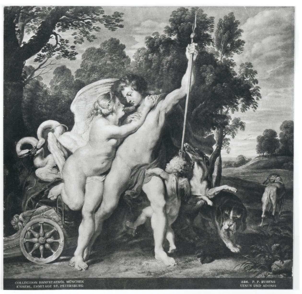 Wenus i Adonis autorstwa Peter Paul Rubens