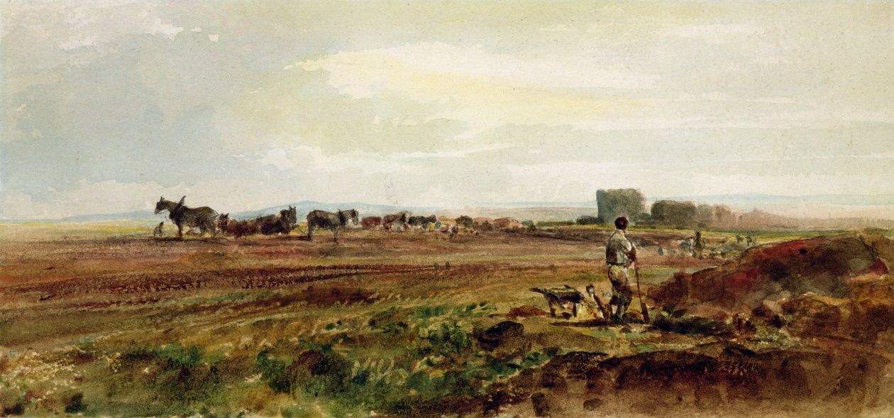 Orka Heathland, Lincolnshire (wc na papierze) autorstwa Peter de Wint