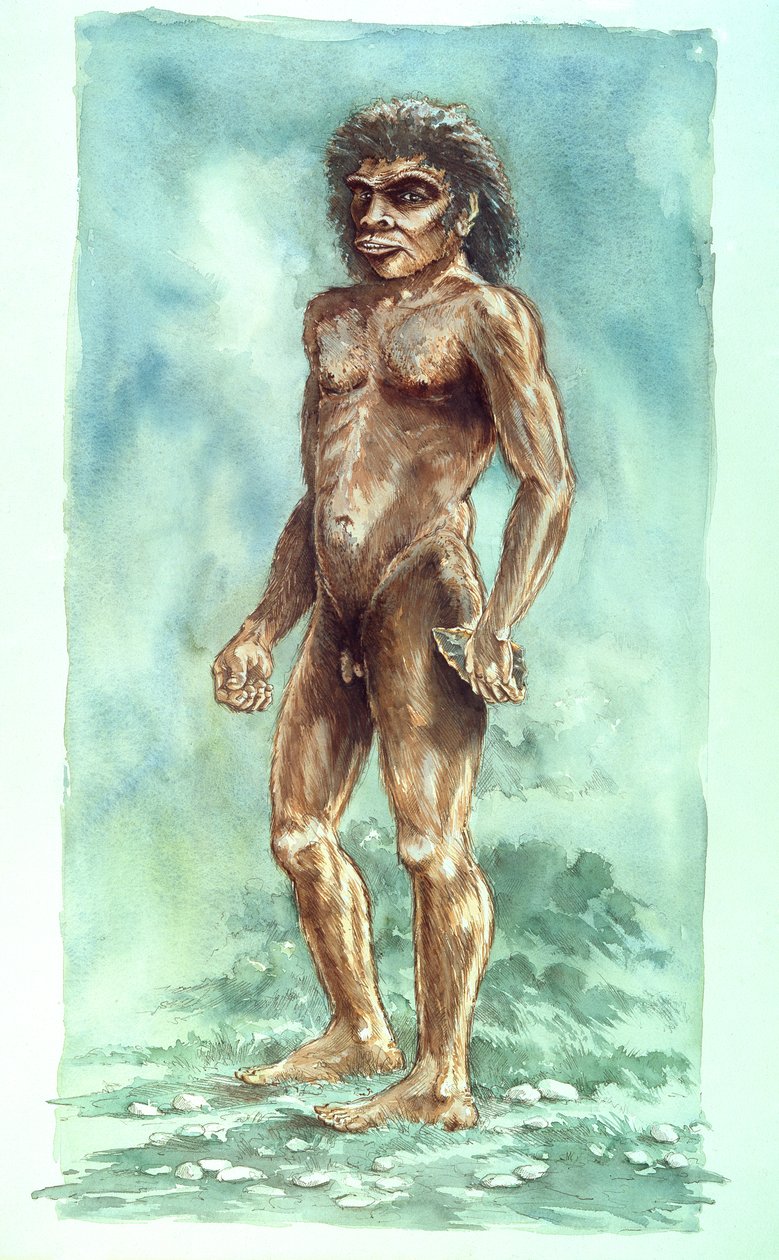 Człowiek z Boxgrove, prehistoryczny, 1990-2010 autorstwa Peter Dunn