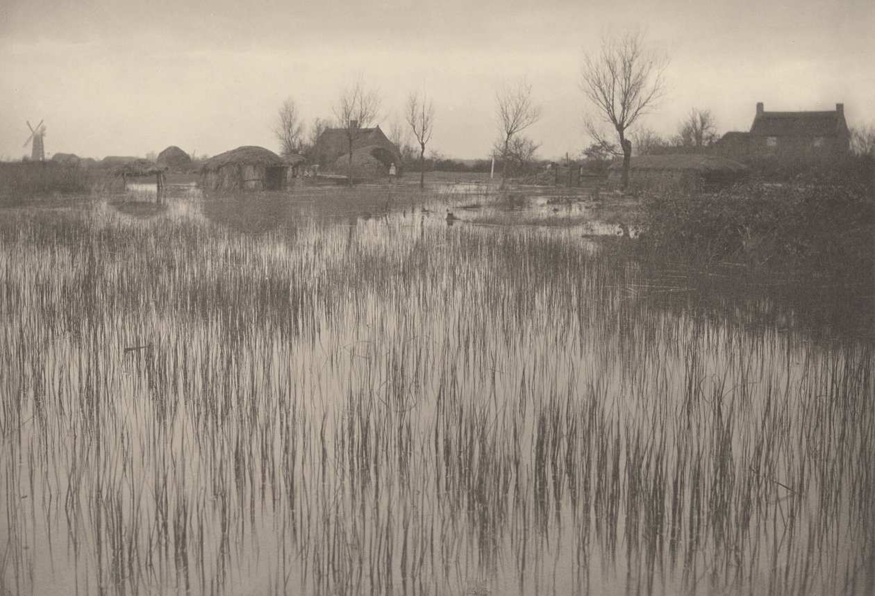 A Rushy Shore, 1886 (zdjęcie) autorstwa Peter Henry Emerson