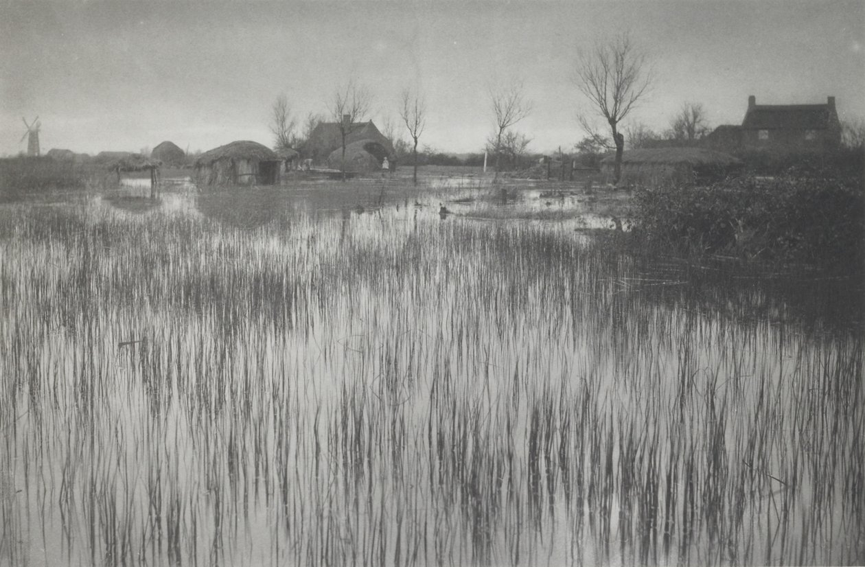 Szorstki brzeg autorstwa Peter Henry Emerson