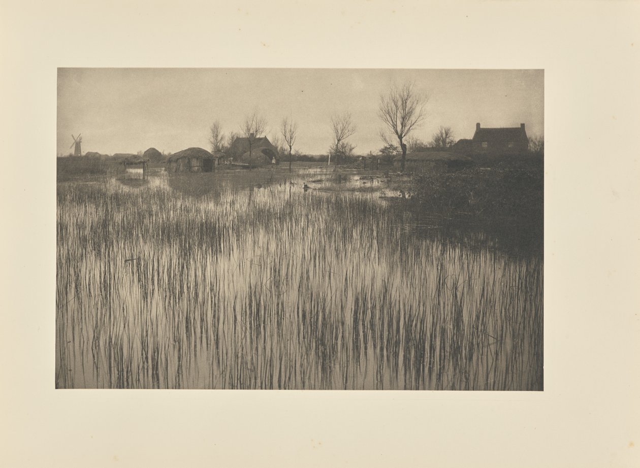 Szorstki brzeg autorstwa Peter Henry Emerson