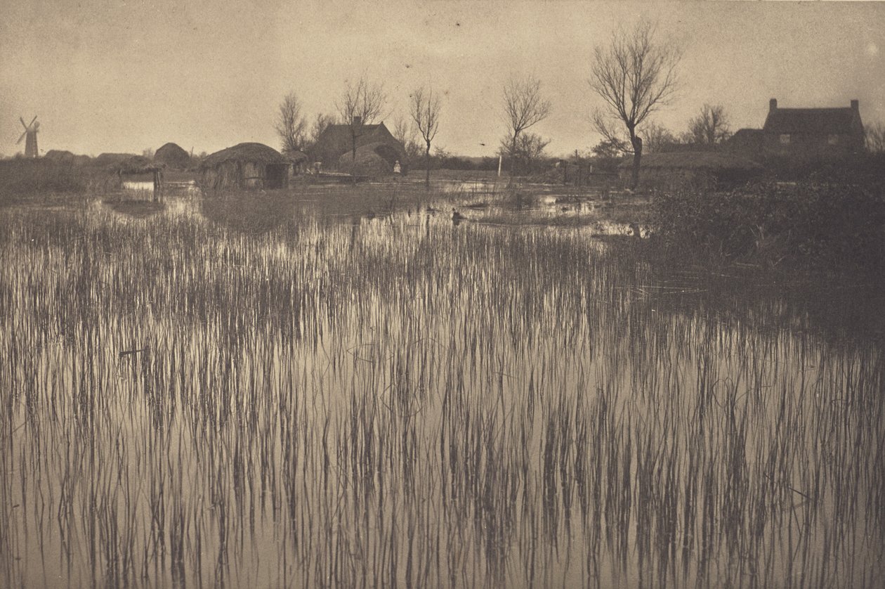 Szorstki brzeg autorstwa Peter Henry Emerson