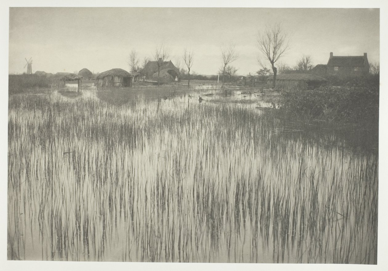 Szorstki brzeg autorstwa Peter Henry Emerson