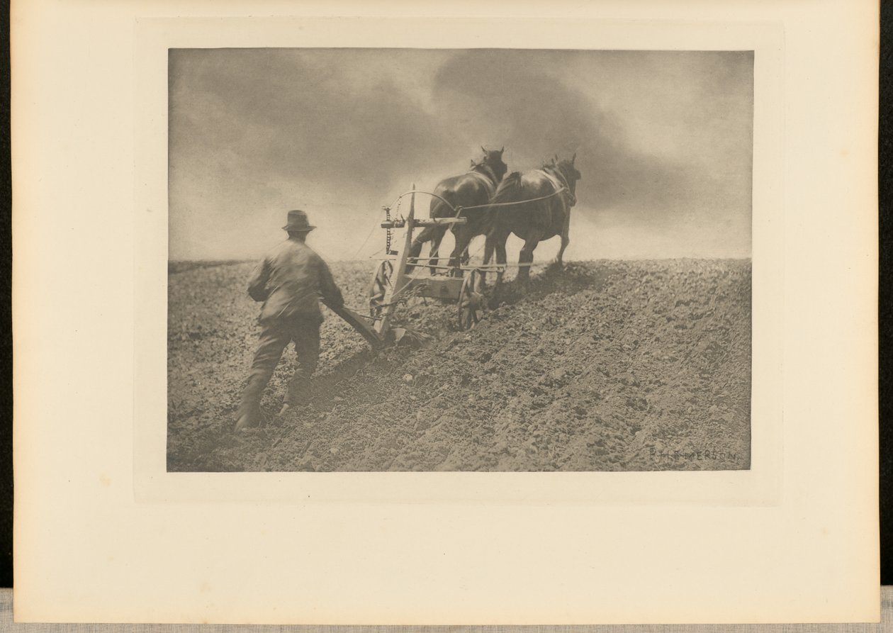 Sztywne pociągnięcie. [Suffolk]. autorstwa Peter Henry Emerson